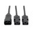 Tripp Lite P004-006-2C13 power cable Black 72" (1.83 m) C14 coupler C13 coupler