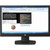 HP Business V223 21.5" Full HD LED LCD Monitor - 16:9 - Black - V5G70ATR#ABA