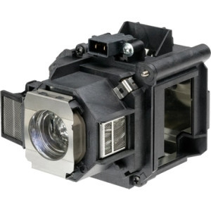 Epson V13H010L62 Replacement Lamp - V13H010L62