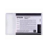 Epson Photo Black Ink Cartridge - T602100