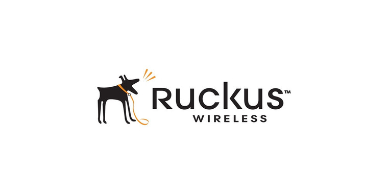 Ruckus Wireless Power over Ethernet Injector - 902-0159-US01