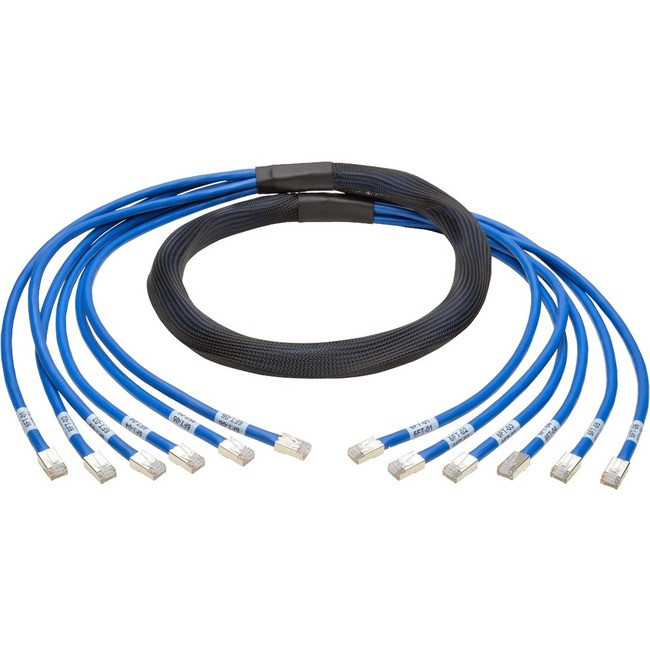 Tripp Lite 6ft Augmented Cat6 Cat6a Pre-Terminated Copper trunk Bundle 6xRJ45 M/M 6' - N261-006-6MM-BL