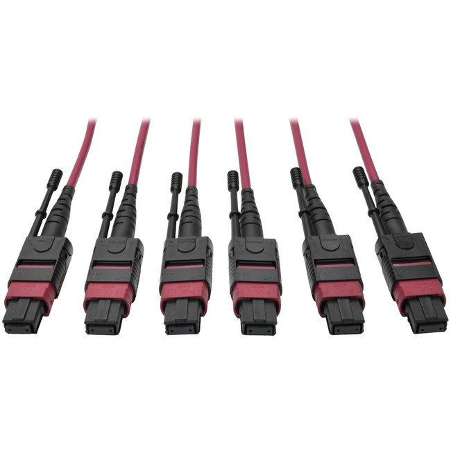 Tripp Lite 24-Fiber MTP MPO OM4 Base-8 MMF Trunk Cable 40/100GbE 3X, 15M - N858-15M-3X8-MG