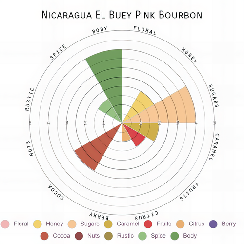 Nicaragua El Buey Pink Bourbon - Wet Process (Washed)