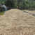 Rwanda Milles Collines Peaberry - Wet Process, Sun Dried