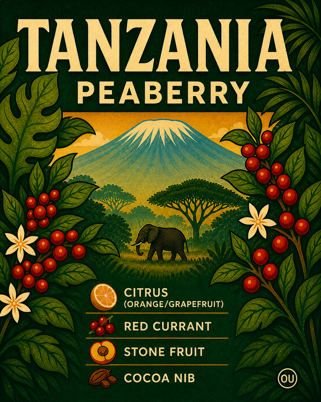 Tanzania Peaberry Coffee