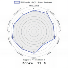 Ethiopia Guji Goro Bedessa - Wet Process (Washed)