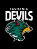 Tasmania Devils AFL Car Seat Covers