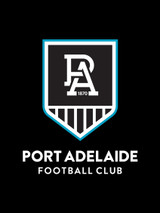 Port Adelaide Power AFL Car Seat Covers