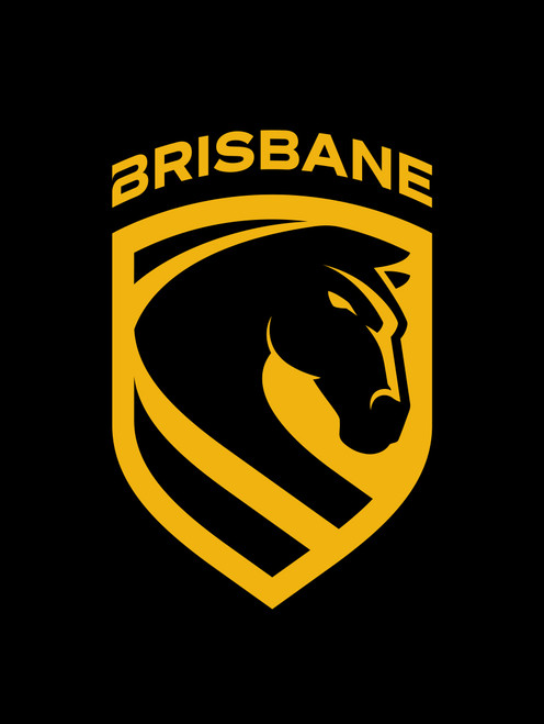 Brisbane Broncos NRL Steering Wheel Cover and Seat Belt Comforts