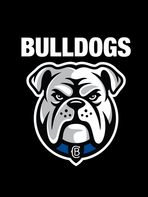 Canterbury Bulldogs NRL Car Seat Covers