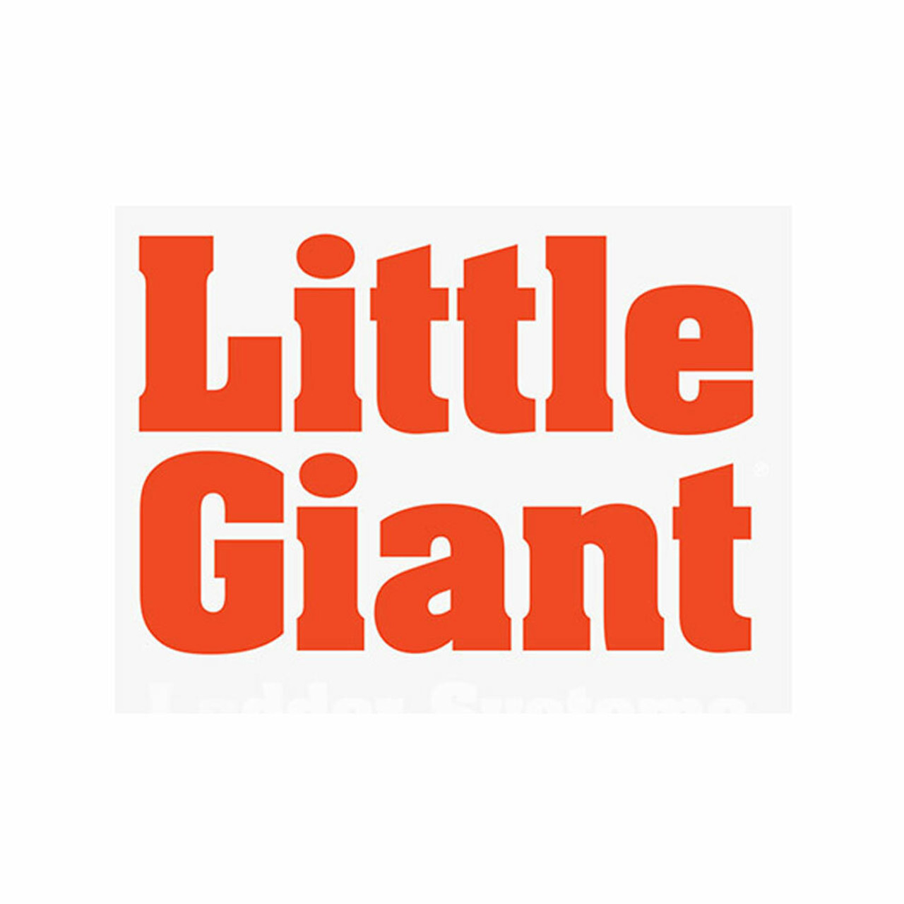 Little Giant Parts