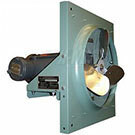 Explosion-Proof Wall-Mounted Exhaust Fans
