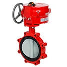 Butterfly Valves