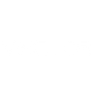 Vector