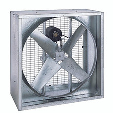  Triangle PFG4213-115 42 Inch Agricultural Fan, Belt Drive, 12,678 CFM, 115V/1Ph 