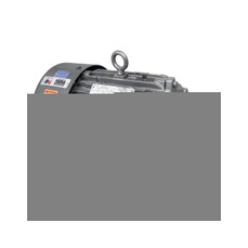 US Motors HD5P3E Image 1