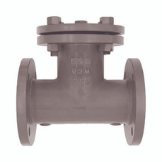 Titan Flow Control CT21C0200 2 Inch Tee Strainer, Carbon Steel, ASME Class 150, Flanged Ends, Bolted Cover