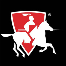 Lochinvar 100167368 Relief Valve, Temperature and Pressure, 3/4 Inch Male Connection, 125 PSI, Model 16485-0125