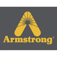Armstrong International 30A3 Float and Thermostatic Trap 3/4 Inch 30 PSI
