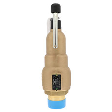 Kunkle Valve 6021JHT01AAM0050 Image 1