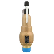 Kunkle Valve 6021JHT01AAM0150 Image 1