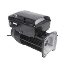 US Motors NPTQ225 2.25 THP Variable Speed Motor