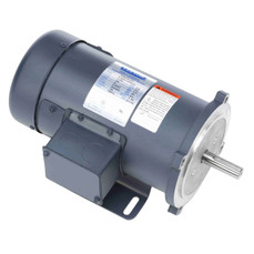 Leeson 98000 Image 1