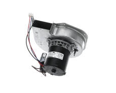 Trane BLW01376