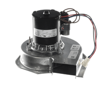 Trane BLW01378