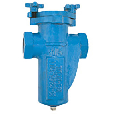  Titan Flow Control BS25I0050 1/2 Inch Basket Strainer, Cast Iron, ASME Class 125, Threaded Ends, Quick Open Cover, Epoxy Painted 