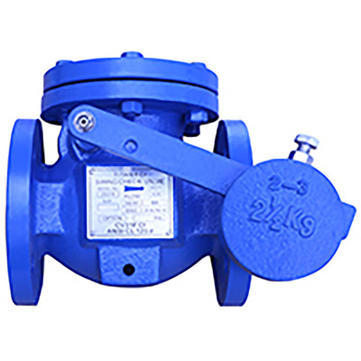  Titan Flow Control CV31WFIIBB1200 12 Inch Check Valve, Flanged Ends, Cast Iron Body, Buna-N Seat, With Weight and Lever 