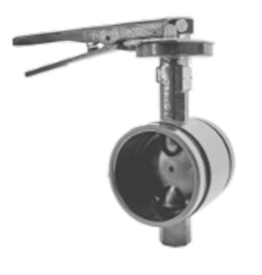  Titan Flow Control BF77GDEE0200 2 Inch Butterfly Valve, Ductile Iron Body, Grooved Ends, Stainless Steel EPDM Coated Disc, EPDM Seat, Infinite Handle 