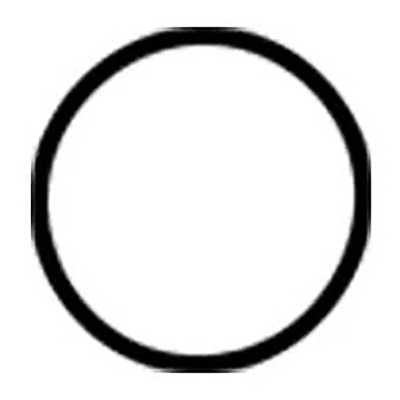 Armstrong Fluid Technology 8426401-006 11 1/2 Inch Pump Casing Gasket, Nitrile