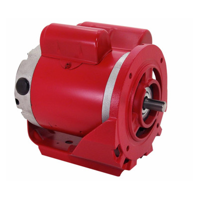 Century Motors C250V1 Image 1