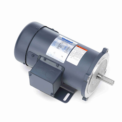 Leeson 098000.00 1/2 HP Motor, 1750 RPM, 90V