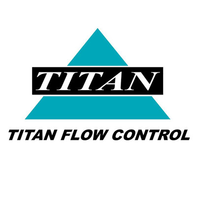 Titan Flow Control BS85A20200 2 Inch Basket Strainer, Stainless Steel Alloy 20, ASME Class 150, Flanged Ends