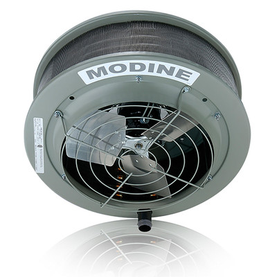 Modine V