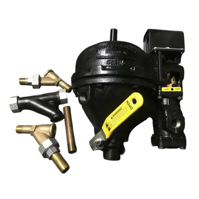 Peerless Boilers 29010 Image 1