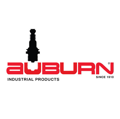 Auburn Manufacturing E5-3M5-2PK Type 3M Electrode 5 Inch 2 Pack