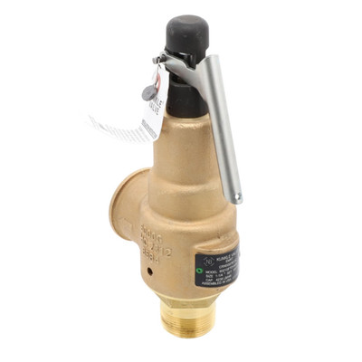 Kunkle Valve 6021GFT01AAM0150 Image 1