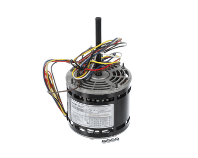 Rheem 51-23022-41