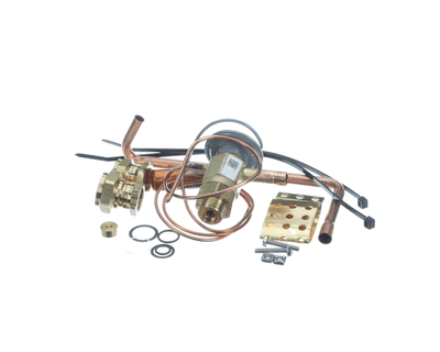 Rheem PD619063