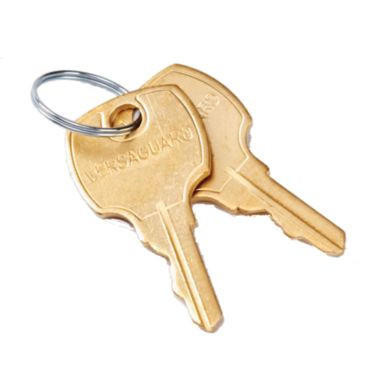  Honeywell 191990A Set Of 2 Replacement Keys For TG509, TG510, TG511, And TG512 Guards TG Key 