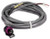 Johnson Controls 13' Wiring Harness for P499 