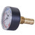  HTP 7250P-211 Temperature and Pressure Gauge, 0-60PSI, 0-250F 