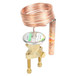 Alco-Controls-036750 Image 2