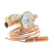 Alco-Controls-066079 Image 3