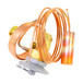Carrier EA36YP020 Image 2
