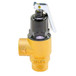 Lochinvar 100208451 Pressure Relief Valve Image 2